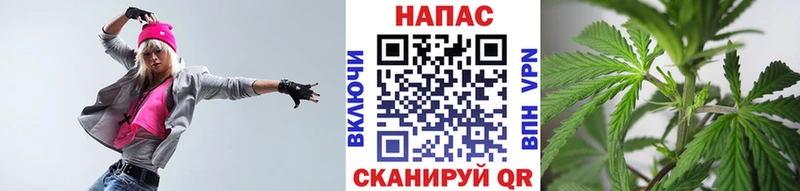 Канабис OG Kush  Ясногорск 